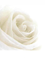 Dr Singh ENT Sydney thank you card